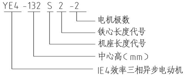 西安泰富西瑪YE4系列超超高效節(jié)能三相異步電動(dòng)機(jī)型號說明 西安泰富西瑪YE4系列超超高效節(jié)能三相異步電動(dòng)機(jī)型號說明