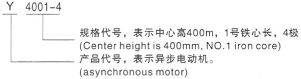 西安泰富西瑪Y系列(H400-500)380V低壓大功率三相異步電動機型號說明 西安泰富西瑪Y系列(H400-500)380V低壓大功率三相異步電動機型號說明