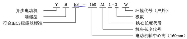 西安泰富西瑪YBE3系列超高效防爆電機(jī)型號(hào)說(shuō)明 西安泰富西瑪YBE3系列超高效防爆電機(jī)型號(hào)說(shuō)明